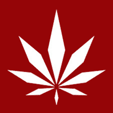 MedMen New York Marijuana Dispensaries
