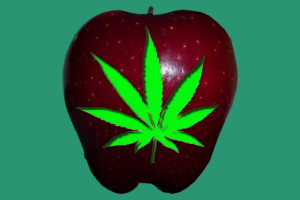 NY Marijuana Apple