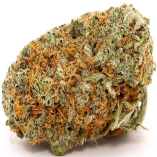 Girl Scout Cookies Strain Review Indica Dominant Hybrid