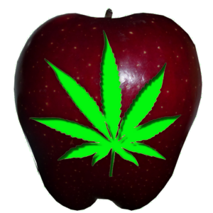 The Big Cannabis Apple