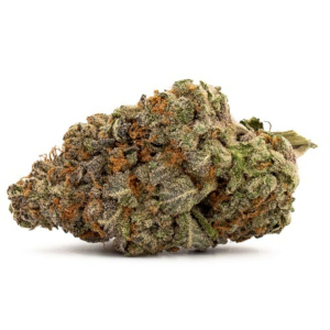 Bubba Lime High CBD cannabis strain
