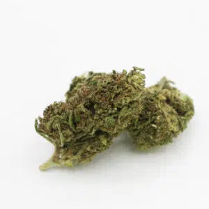 CBD OG High CBD cannabis strain