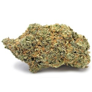 Sunset Sherbet Indica Dominant Hybrid cannabis strain