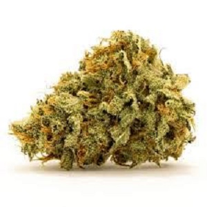T1 Trump High CBD cannabis strain
