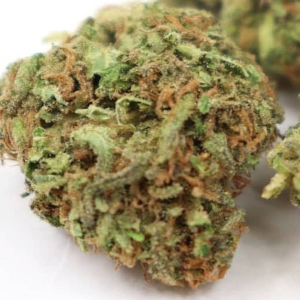 West Slope Pepper High CBD cannabis strain