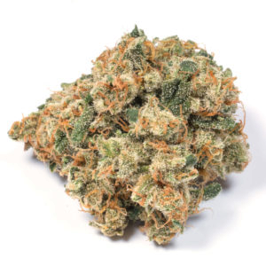 Harle Tsu High CBD cannabis strain