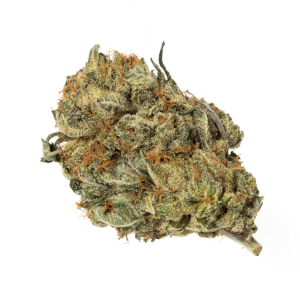 Harlequin GDP cannabis strain