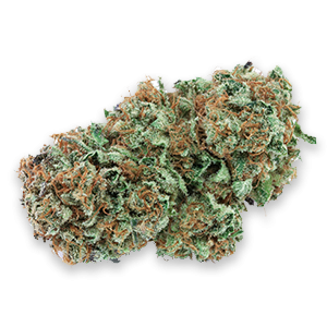 Harlequin High CBD cannabis strain