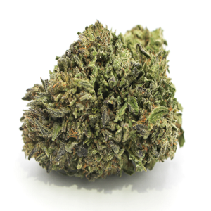 Hawaiian Haze cannabis strain