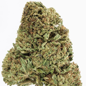 Hemp Kush High CBD cannabis strain