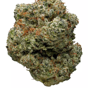 Lake of Fire Sativa Dominant Hybrid cannabis strain
