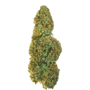 Legendary High CBD cannabis strain