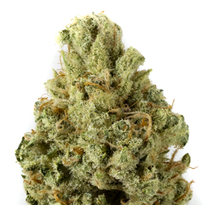 Lemon Alien Indica Dominant Hybrid cannabis strain