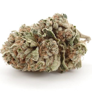 Lemon Sugar Kush High CBD cannabis strain