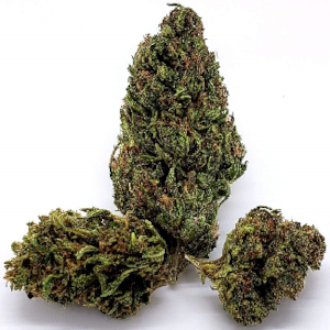 Merlot High CBD cannabis strain