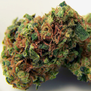 NYC Diesel Sativa Dominant Hybrid cannabis strain