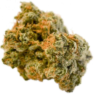 Orange Cream Indica Dominant Hybrid cannabis strain