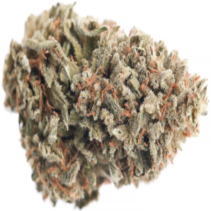 Pineapple Haze Sativa Dominant Hybrid cannabis strain