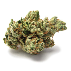 SFV OG Sativa Dominant Hybrid cannabis strain