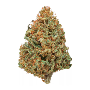 Sour Space Candy High CBD cannabis strain