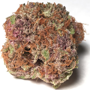 Strawberry Cough Sativa Dominant Hybrid cannabis strain